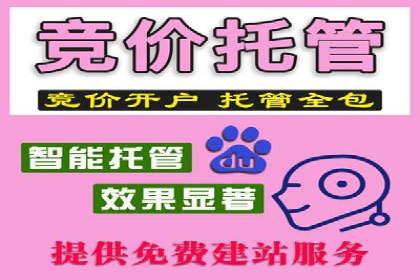 竞价推广与SEM托管结合，助力企业快速成长